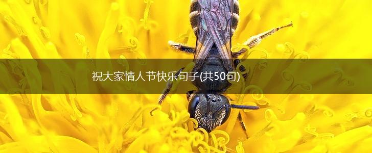 祝大家情人节快乐句子(共50句),第1张