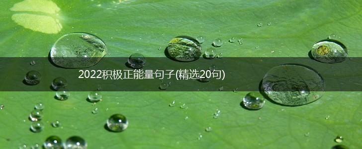 2022积极正能量句子(精选20句),第1张