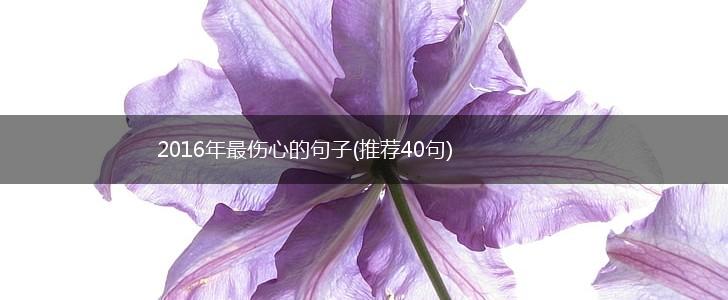 2016年最伤心的句子(推荐40句),第1张