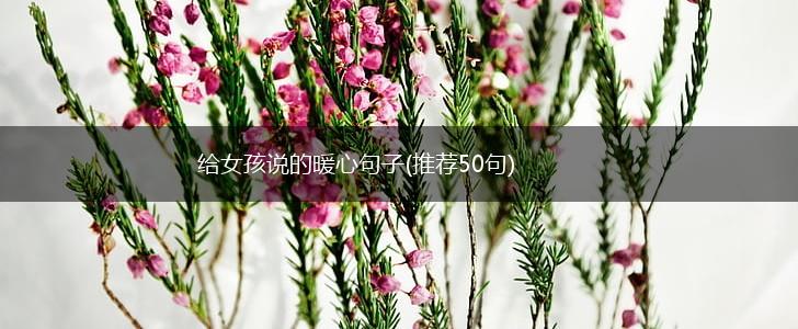 给女孩说的暖心句子(推荐50句),第1张