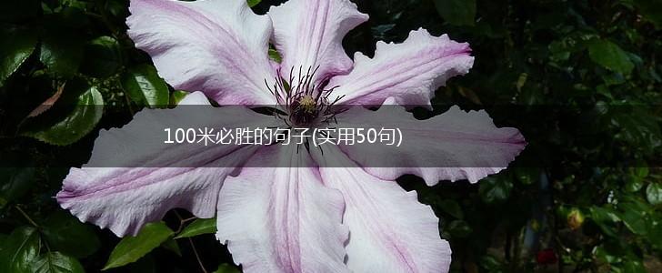 100米必胜的句子(实用50句),第1张
