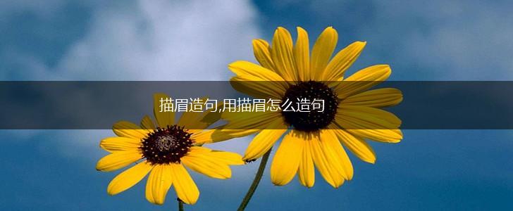 描眉造句,用描眉怎么造句,第1张