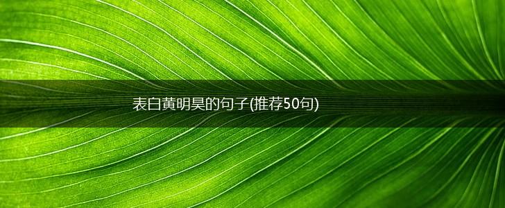 表白黄明昊的句子(推荐50句),第1张