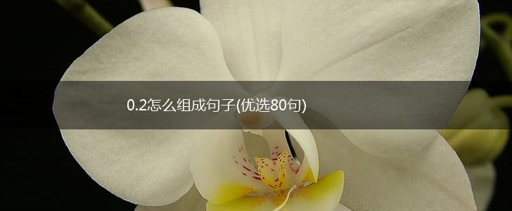 0.2怎么组成句子(优选80句),第1张
