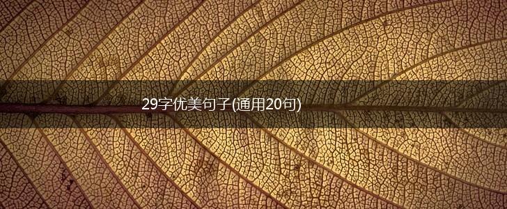 29字优美句子(通用20句),第1张