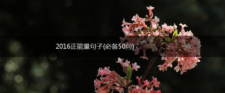 2016正能量句子(必备50句),第1张