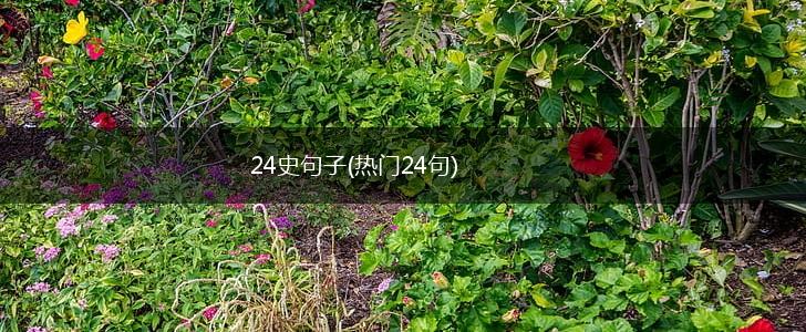 24史句子(热门24句),第1张