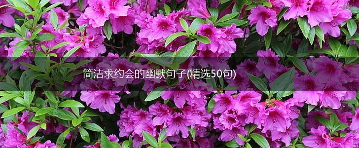简洁求约会的幽默句子(精选50句),第1张