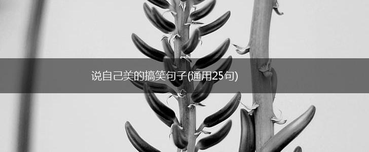说自己美的搞笑句子(通用25句),第1张