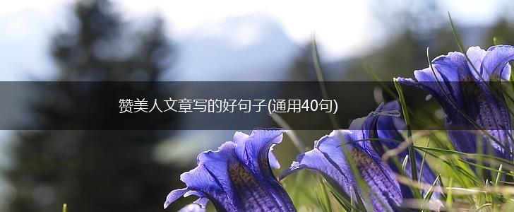 赞美人文章写的好句子(通用40句),第1张