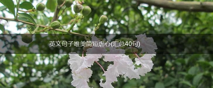 英文句子唯美简短虐心(汇总40句),第1张