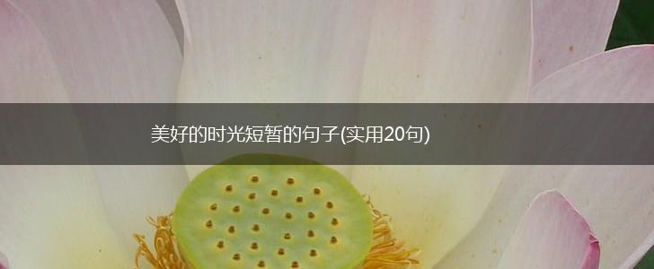 美好的时光短暂的句子(实用20句),第1张