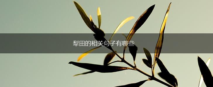 犁田的相关句子有哪些,第1张