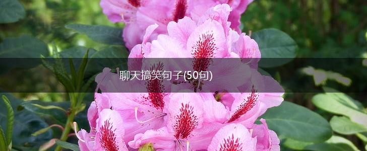 聊天搞笑句子(50句),第1张