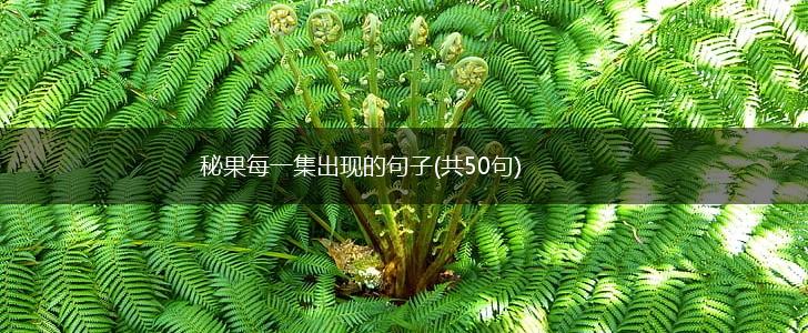 秘果每一集出现的句子(共50句),第1张