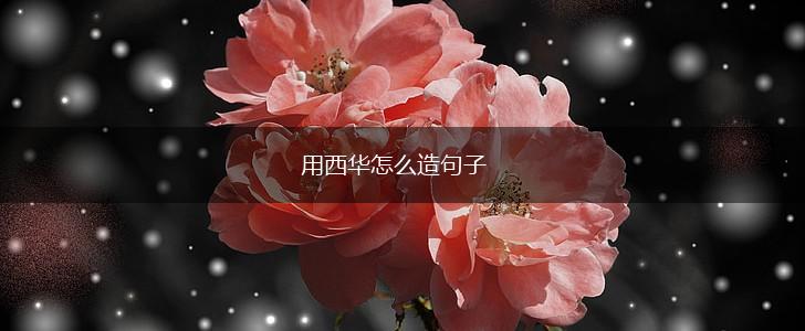 用西华怎么造句子,第1张