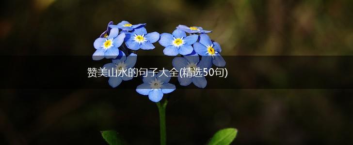 赞美山水的句子大全(精选50句),第1张