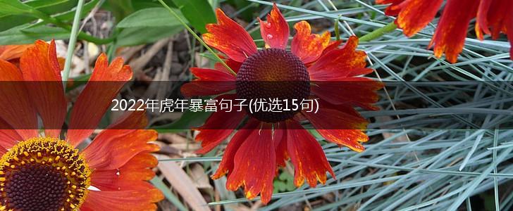 2022年虎年暴富句子(优选15句),第1张