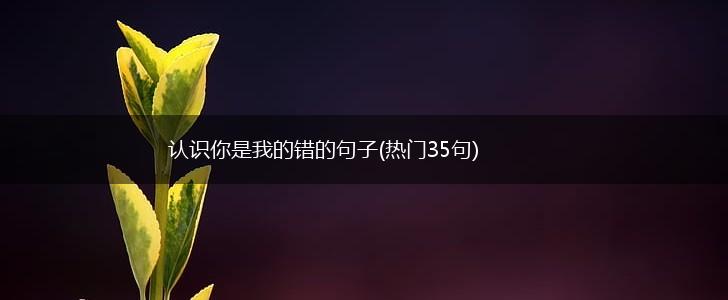 认识你是我的错的句子(热门35句),第1张