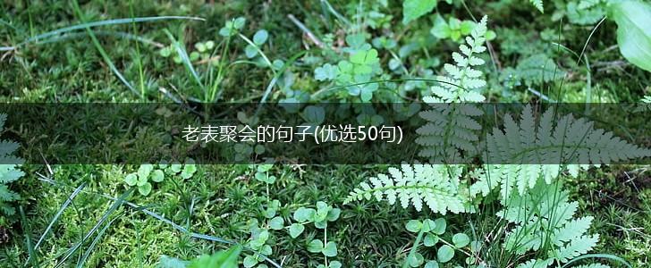 老表聚会的句子(优选50句),第1张