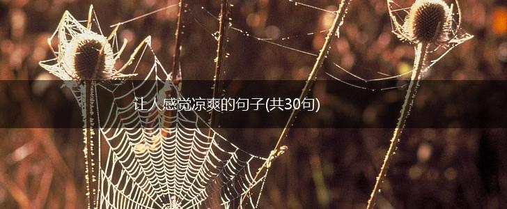 让人感觉凉爽的句子(共30句),第1张