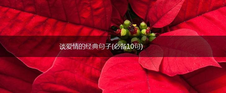 谈爱情的经典句子(必备10句),第1张