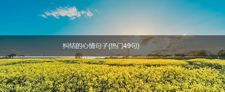 纠结的心情句子(热门49句),第1张