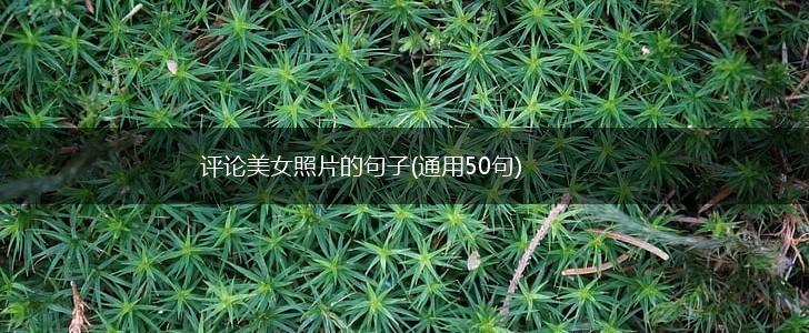 评论美女照片的句子(通用50句),第1张