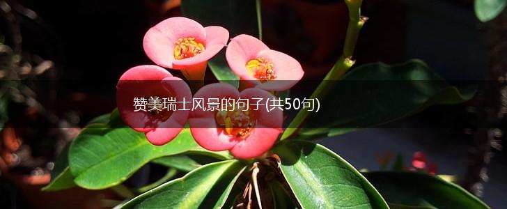 赞美瑞士风景的句子(共50句),第1张