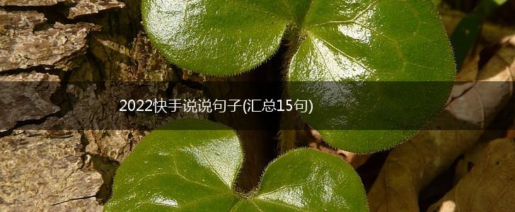 2022快手说说句子(汇总15句),第1张