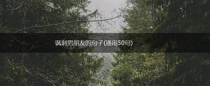 讽刺男朋友的句子(通用50句),第1张
