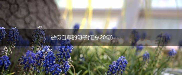 被伤自尊的句子(汇总20句),第1张