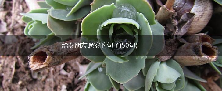 给女朋友晚安的句子(50句),第1张