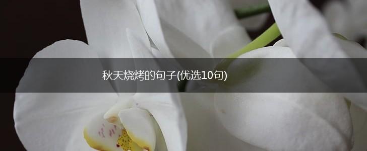 秋天烧烤的句子(优选10句),第1张
