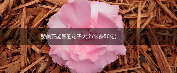 赞美正能量的句子大全(必备50句),第1张