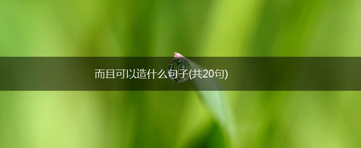 而且可以造什么句子(共20句),第1张