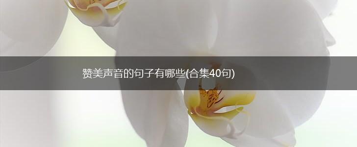 赞美声音的句子有哪些(合集40句),第1张