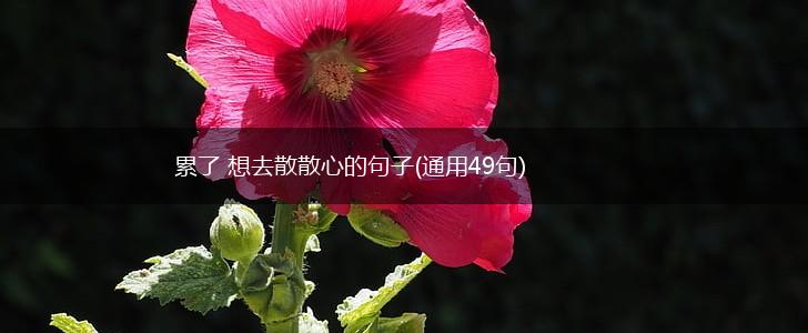 累了 想去散散心的句子(通用49句),第1张