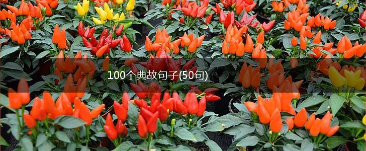 100个典故句子(50句),第1张