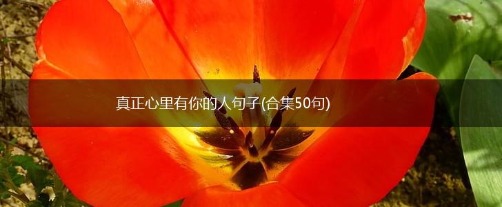 真正心里有你的人句子(合集50句),第1张