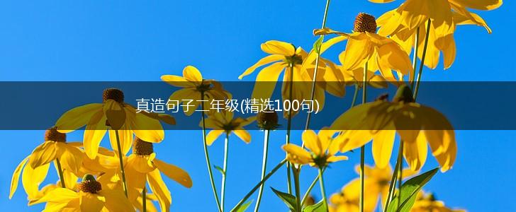 真造句子二年级(精选100句),第1张