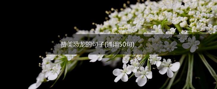 赞美恐龙的句子(通用50句),第1张