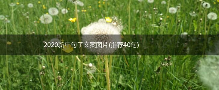 2020新年句子文案图片(推荐40句),第1张