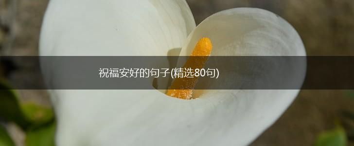 祝福安好的句子(精选80句),第1张