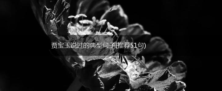 贾宝玉说过的典型句子(推荐51句),第1张