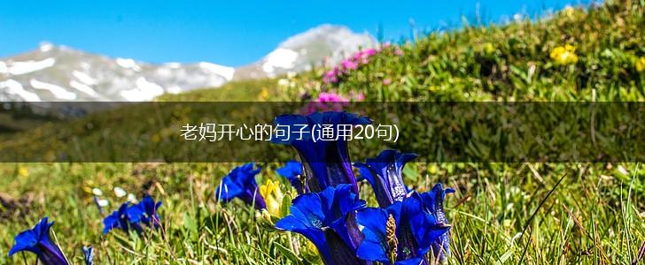 老妈开心的句子(通用20句),第1张