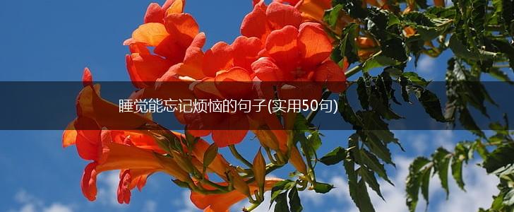 睡觉能忘记烦恼的句子(实用50句),第1张