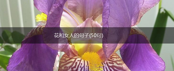 花和女人的句子(50句),第1张