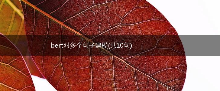 bert对多个句子建模(共10句),第1张