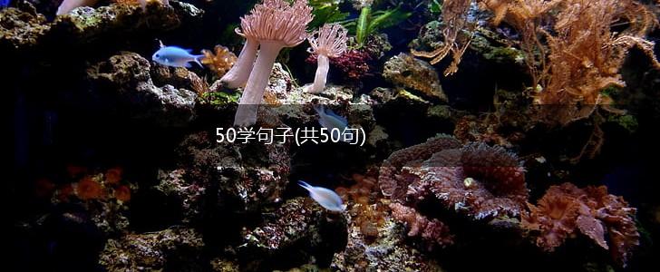 50学句子(共50句),第1张